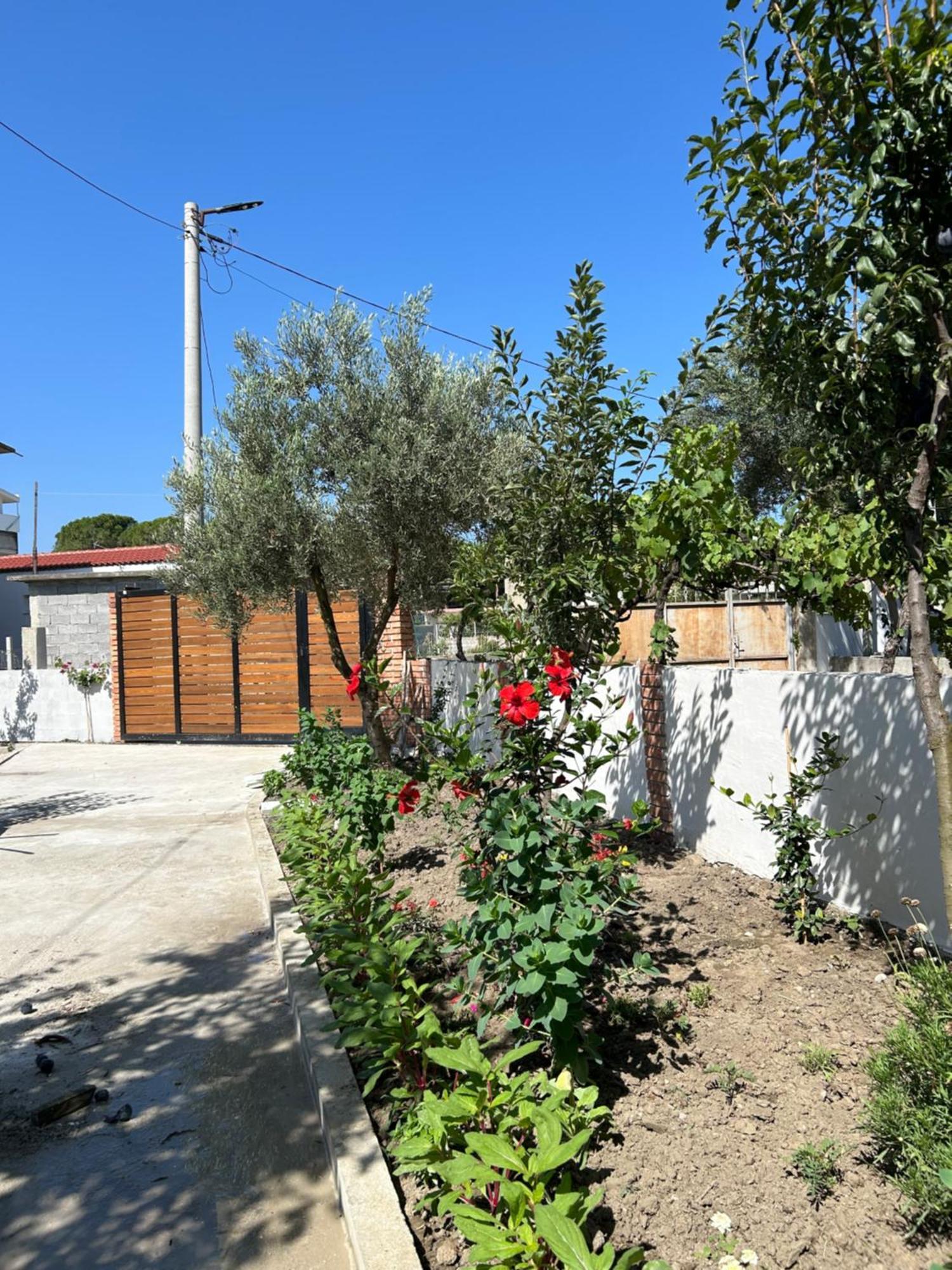 Vila Roan Vlorë Exterior foto